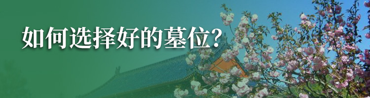 天慈公墓官网